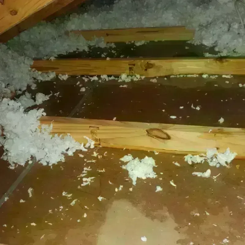 Attic Water Damage in Del Norte, CO