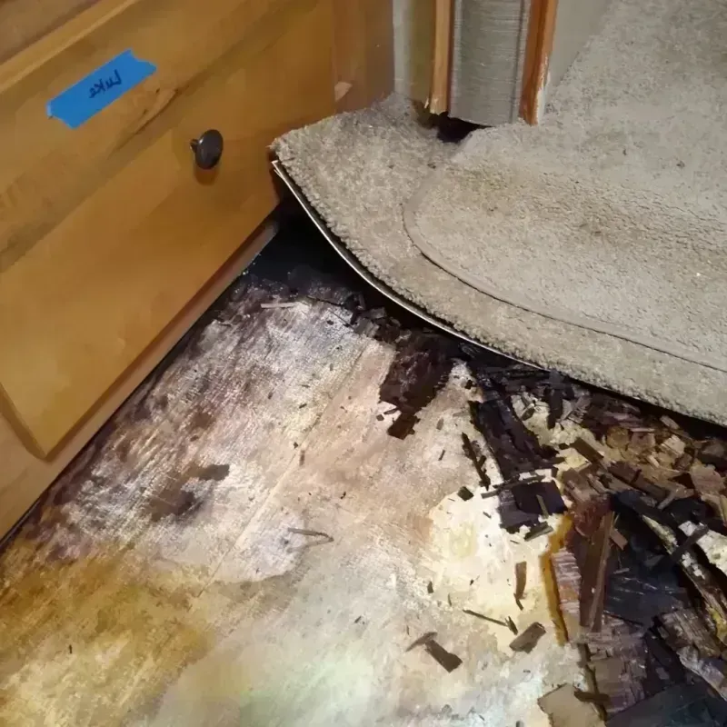 Wood Floor Water Damage in Del Norte, CO